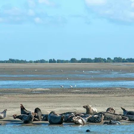 Village Club Mileade Merlimont-le Touquet 메를리몽