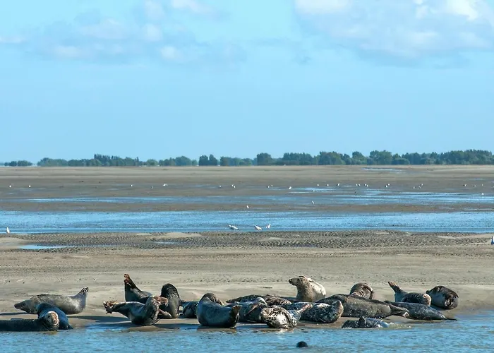 Village Club Mileade Merlimont-le Touquet Merlimont
